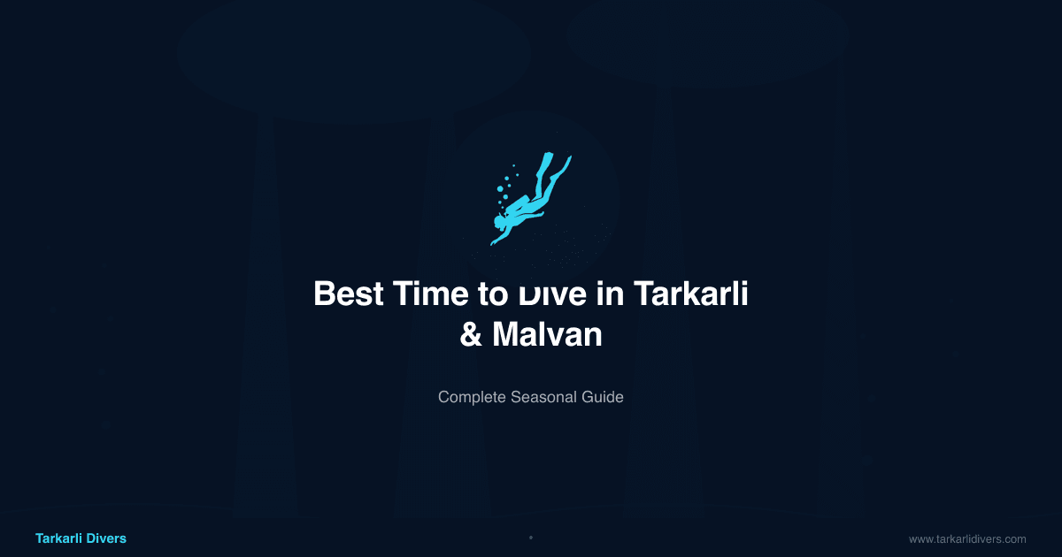 Best Time to Dive in Tarkarlfi & Malvan: Complete Seasonal Guide